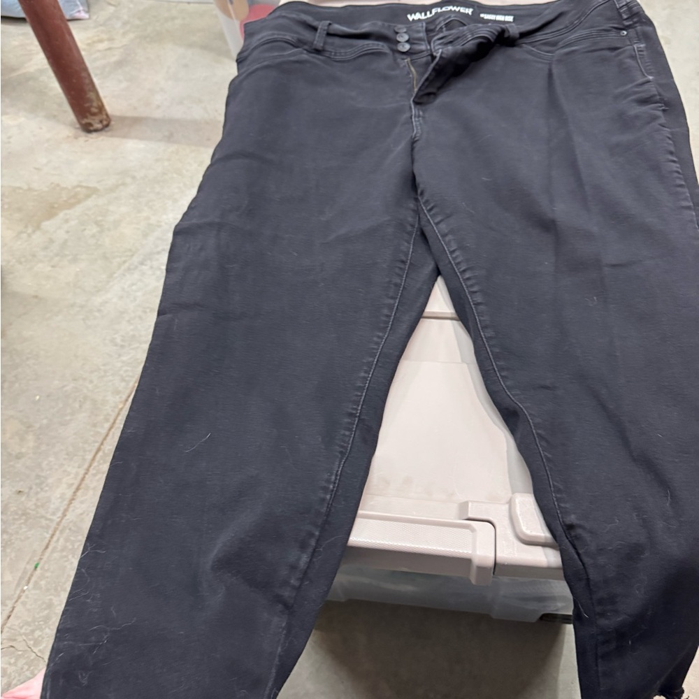 Wallflower Sassy High Rise Black Pants